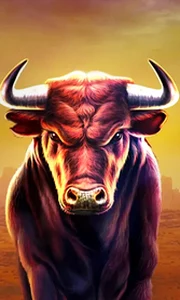 Black Bull